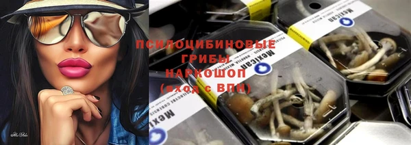 МДПВ Богородицк