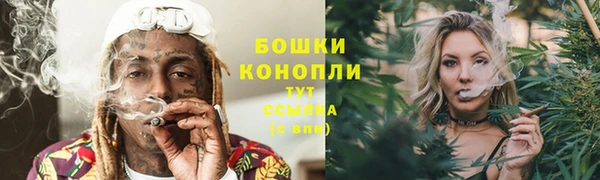 МДПВ Богородицк